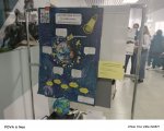 img (8)